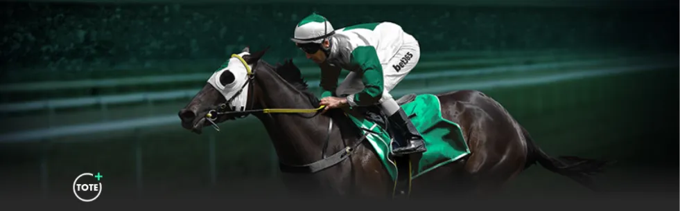 郑钦文,展望,金花绽放,PG,game,Pg电子,Pg电子试玩模拟器入口,Pg电子官网,Pg电子试玩模拟器APP下载