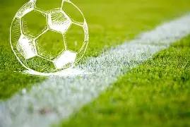 权威发布,古树名木保,护法规揭晓,PG,game,Pg电子,Pg电子试玩模拟器入口,Pg电子官网,Pg电子试玩模拟器APP下载