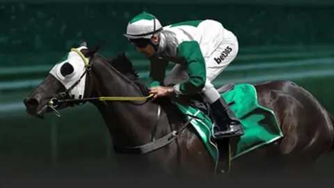 郑钦文2025展望：金花绽放，全面突破，前景光明——央视新闻客户端报道