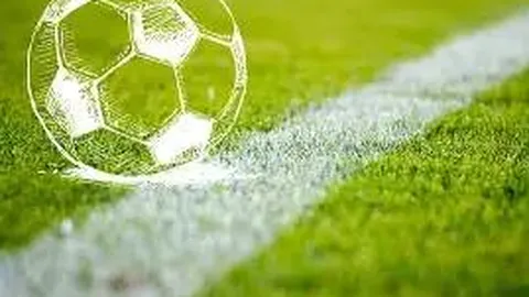 Pg电子试玩模拟器